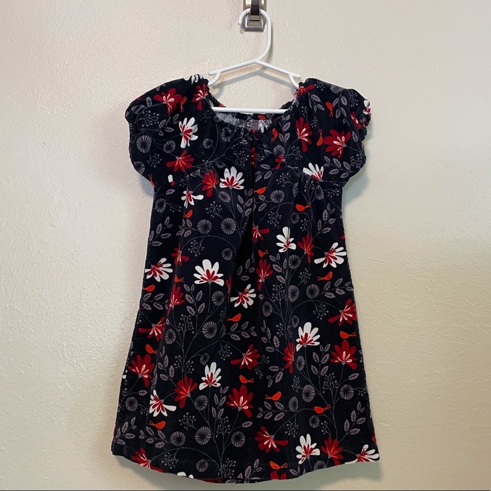 Tea Collection Little Girls Corduroy Dress Size 5